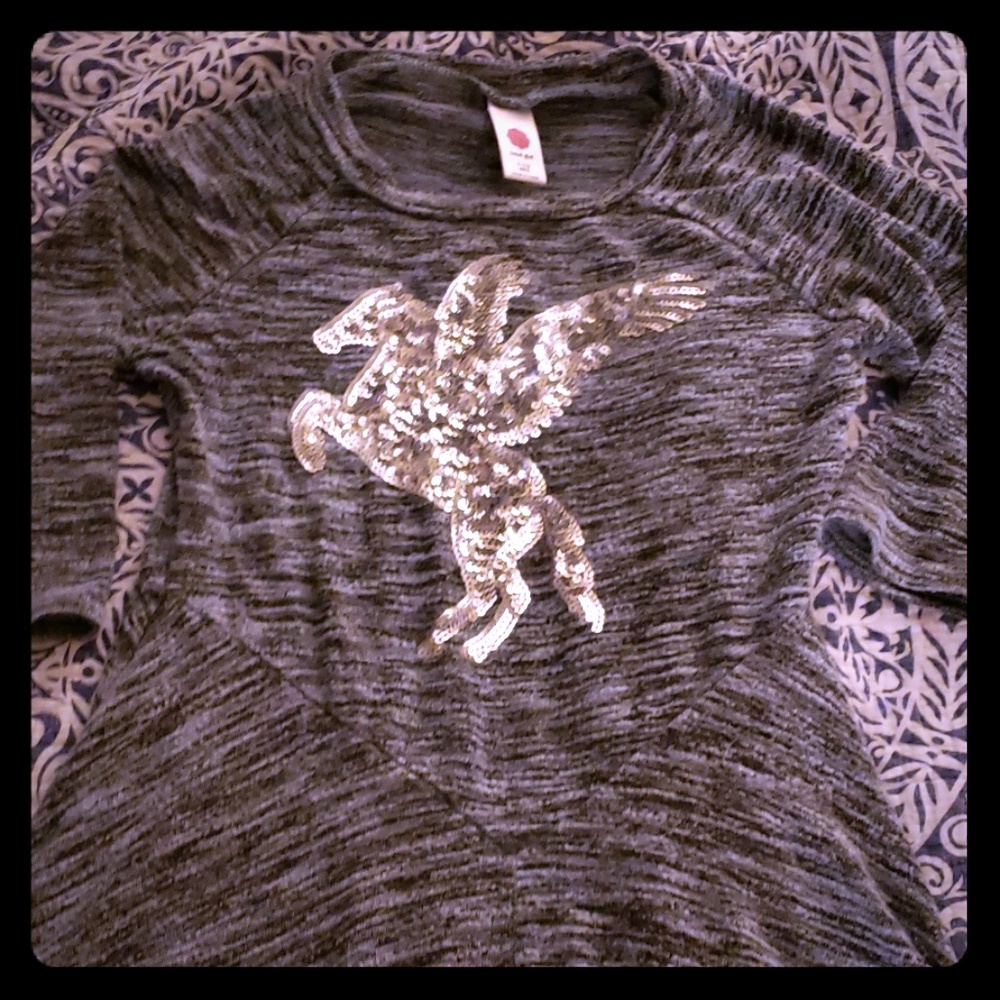 Gorgeous LIKE New pegasus sequined tunic EUC